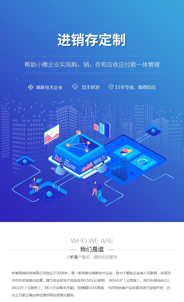 进销存系统开发：助力企业高效管理